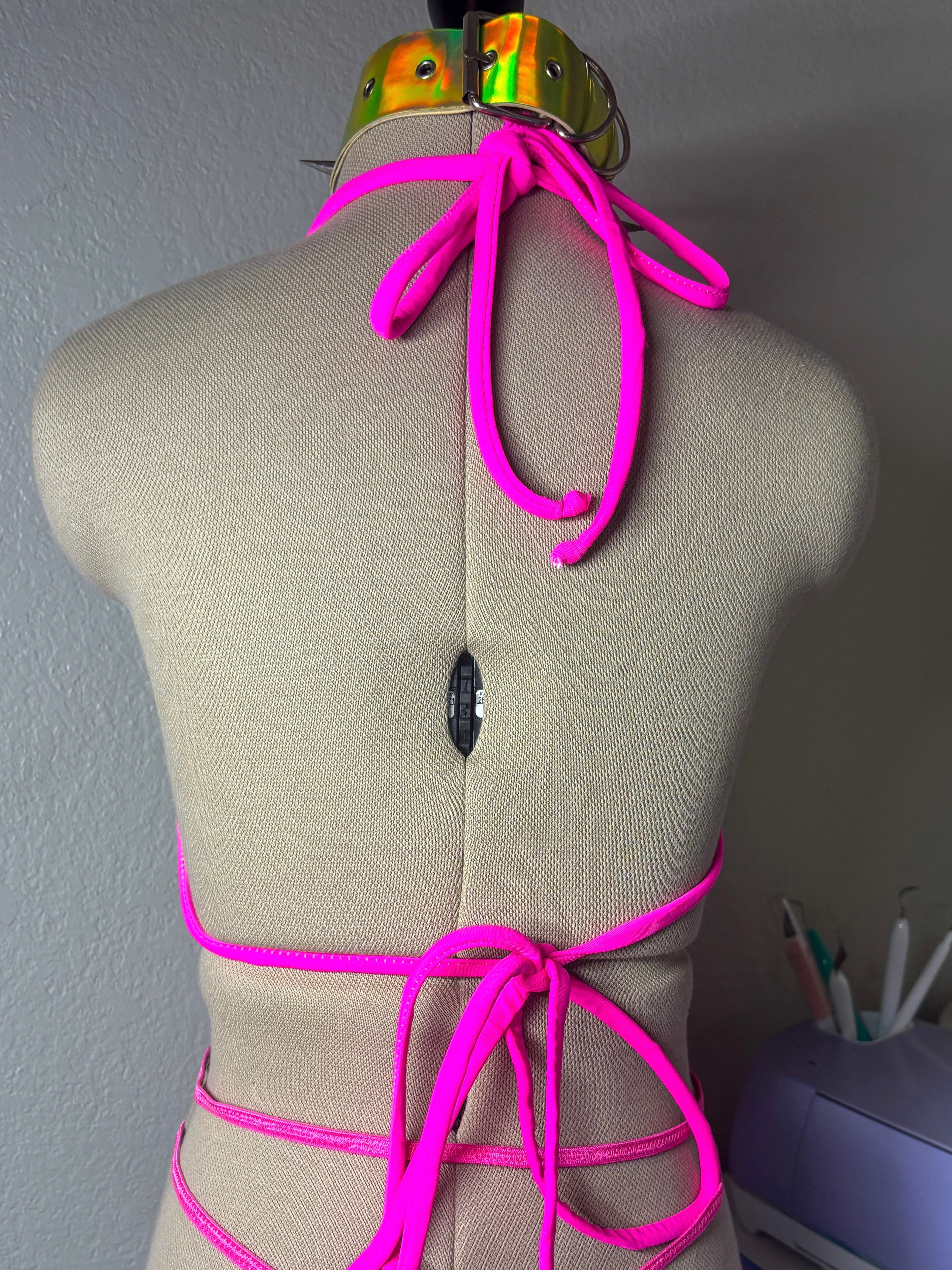 Dickasaurus Bikini Top